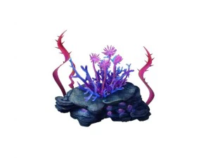 game model - family objects - mozu ling coral 3D Model