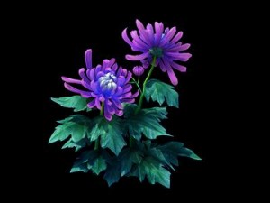 game model - hanging garden - xian yun flowers and 3Dモデル