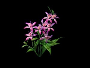 game model - hanging garden - fairy cloud flowers 3D Model