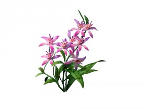 game model - hanging garden - fairy cloud flowers Modèle 3D