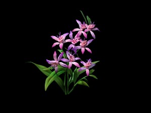 game model - hanging garden - fairy cloud flowers Modèle 3D
