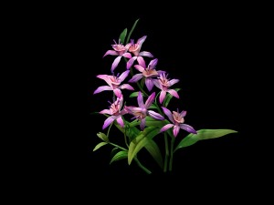 game model - hanging garden - fairy cloud flowers Modèle 3D