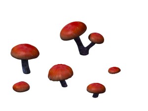 game model - exotic flowers 7 Model 3D