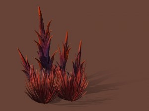 game models - plants in the desert 3D Model
