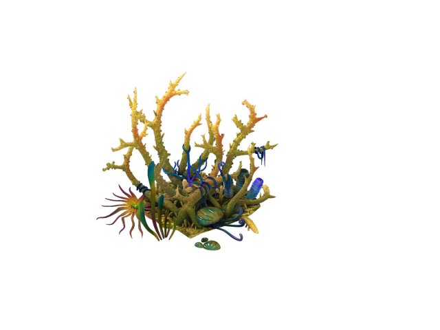 game model - gifted coral 3Dモデル .c4d .max .obj .3ds .fbx .stl .blend 