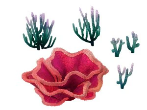 игровая модель - объектный дизайн - коралл Тяньцзин 04 3D Модель