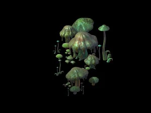 spelmodel - sc&egrave;ne van de gifvallei - giftige paddestoel 3D Model