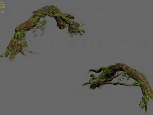 western sichuan river - tree arch 3D Model