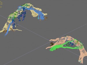 western sichuan river - tree arch 3D मॉडल