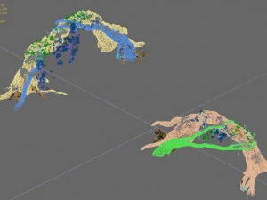 western sichuan river - tree arch 3D Model