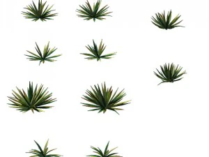 게임 모델 - 대초원 장면 - 사막 식물 01 3D 모델