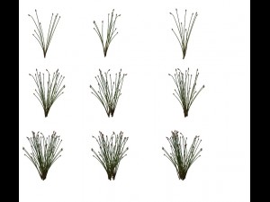 game model - prairie scene - desert plants 02 01 3Dモデル