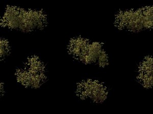 game model - prairie scene - desert plants 03 01 3D Модель