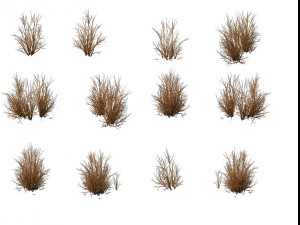 game model - prairie scene - desert plants 04 01 3D Model