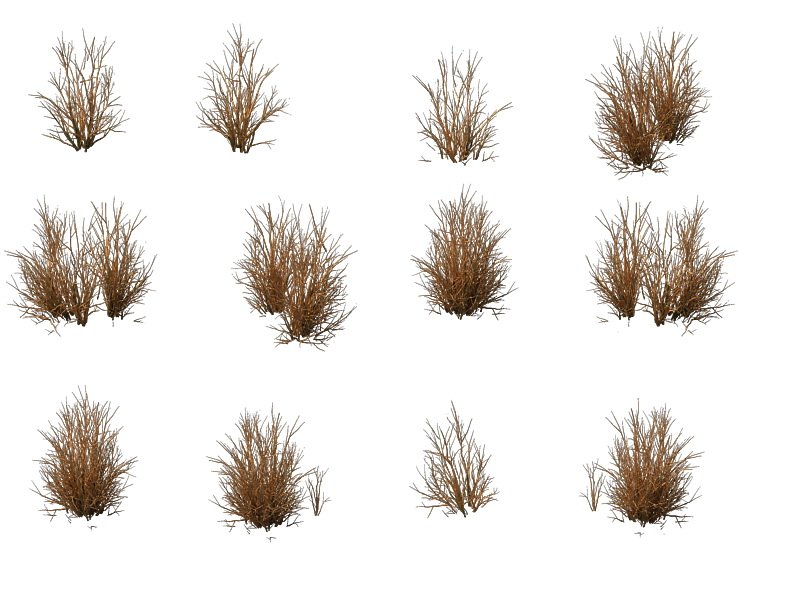 Game Model Prairie Scene Desert Plants 04 01 3d Model In
