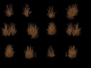 game model - prairie scene - desert plants 04 01 Modello 3D