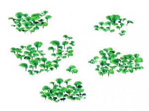 game model - prairie scene - grass 01 01 3D मॉडल