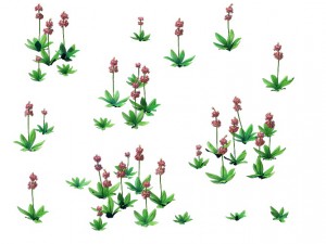 game model - prairie scene - grass 03 01 3D Model