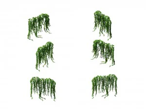 ゲームモデル - 草原のシーン - アイビー 01 01 3Dモデル