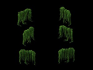 game model - prairie scene - ivy 01 01 3D-Modell