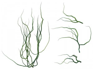 game model - prairie scene - ivy 2 01 Model 3D