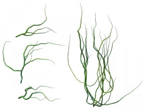 game model - prairie scene - ivy 2 01 Model 3D