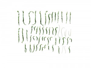 game model - prairie scene - ivy 03 01 3Dモデル