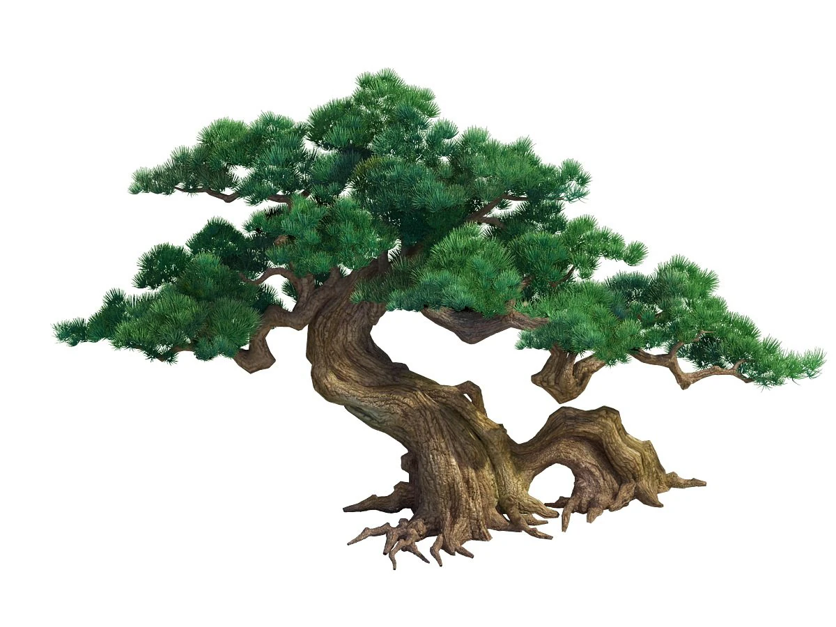 game model - taoist comprehension scene - a pine 0 3D Model .c4d .max .obj .3ds .fbx .stl .blend 