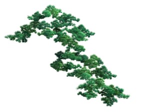 game model - taoist comprehension scene - pine 01 3D Model