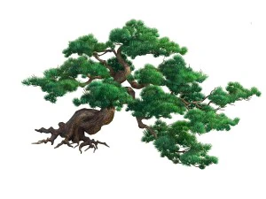 game model - taoist comprehension scene - pine 02 3D Model