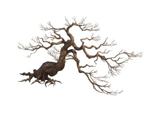 game model - taoist comprehension scene - pine 02 Modèle 3D