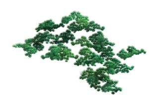 game model - taoist comprehension scene - pine 02 Modèle 3D