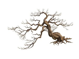 game model - taoist comprehension scene - pine 02 3D Model