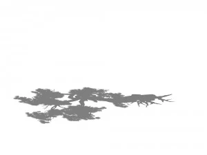 game model - taoist comprehension scene - pine 02 3D Model