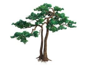 game model - taoist comprehension scene - pine 03 Modèle 3D