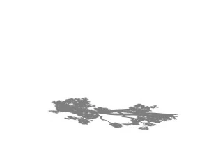 game model - taoist comprehension scene - pine 03 3D Model