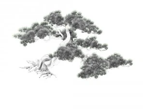 game model - taoist comprehension scene - pine 04 3D Model