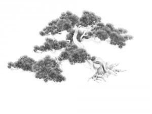 game model - taoist comprehension scene - pine 04 3D Model