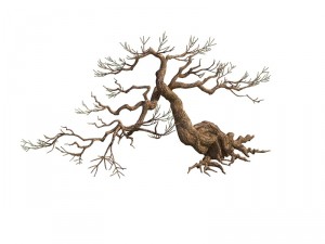 game model - taoist comprehension scene - pine 04 3D-Modell