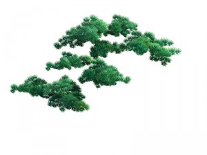 game model - taoist comprehension scene - pine 04 3D-Modell