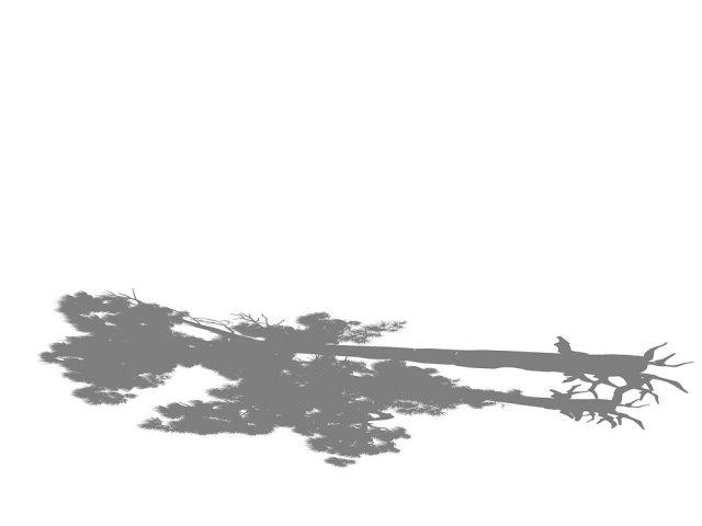 game model - taoist comprehension scene - pine 05 3D Model .c4d .max .obj .3ds .fbx .stl .blend 