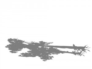 game model - taoist comprehension scene - pine 05 3D Model