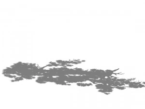 game model - taoist comprehension scene - pine 05 3D Model