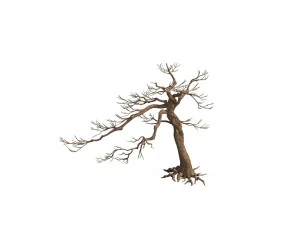game model - taoist comprehension scene - pine 06 3D Model