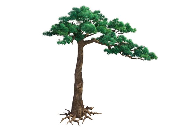 game model - taoist comprehension scene - pine 07 3D Model .c4d .max .obj .3ds .fbx .stl .blend 