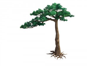 game model - taoist comprehension scene - pine 07 3D Model