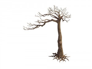 game model - taoist comprehension scene - pine 07 3D Model
