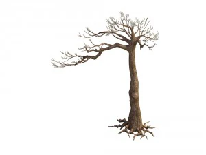 game model - taoist comprehension scene - pine 07 3D Model