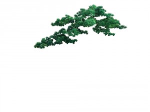 game model - taoist comprehension scene - pine 07 3D Model