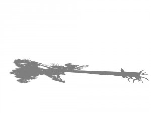 game model - taoist comprehension scene - pine 07 3D Model